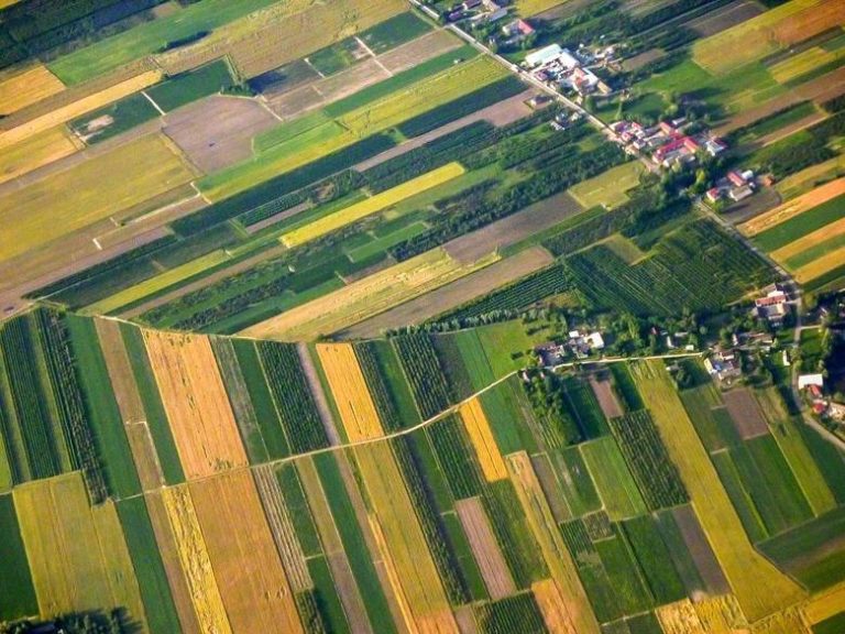 Działki i pola rolnicze - widok z lotu ptaka