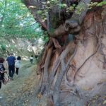 Wycieczka pracowników WBG w Lublinie do Kazimierza Dolnego