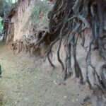 Wycieczka pracowników WBG w Lublinie do Kazimierza Dolnego