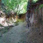 Wycieczka pracowników WBG w Lublinie do Kazimierza Dolnego