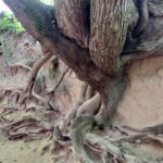 Wycieczka pracowników WBG w Lublinie do Kazimierza Dolnego