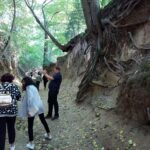 Wycieczka pracowników WBG w Lublinie do Kazimierza Dolnego